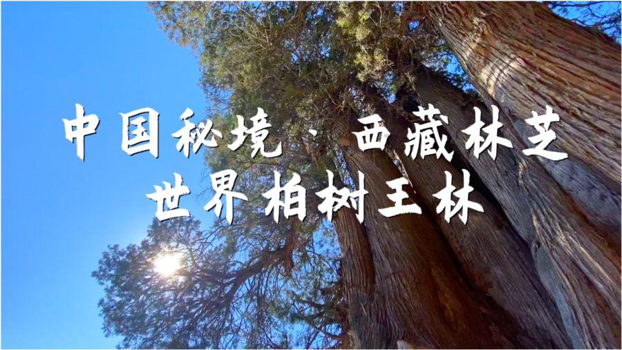 疯狂实验室找物品